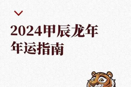 属虎的人命运特点解析