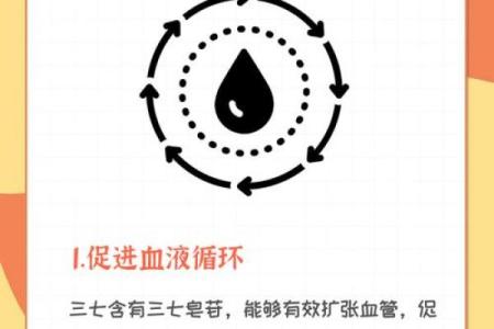 深入了解三七命的基本概念与特点