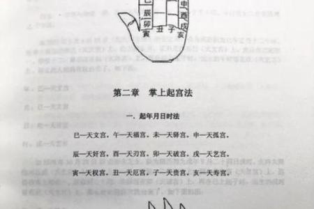 掌中天机：一掌经排盘的奥秘与实践指南