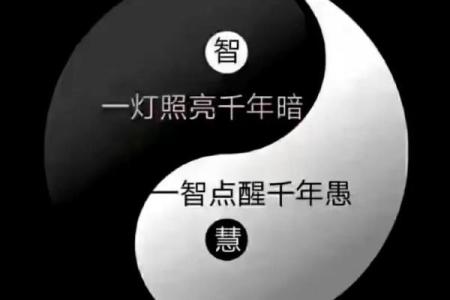 天干换像的奥秘与影响解析