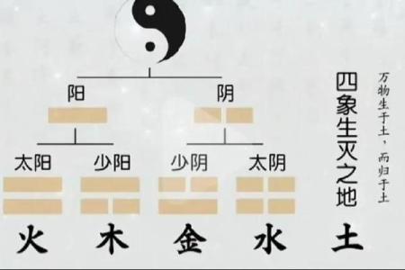 五行之道：探索命运与自然的深层联系