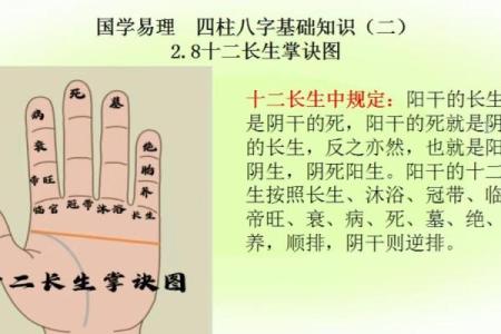 八字掌的起源与解读：从面相学看人生走势