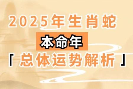 财位与祸害位重合对运势的负面影响解析