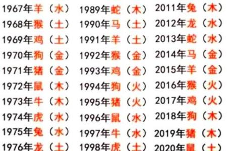 五行属什么：解析属马年份的五行属性