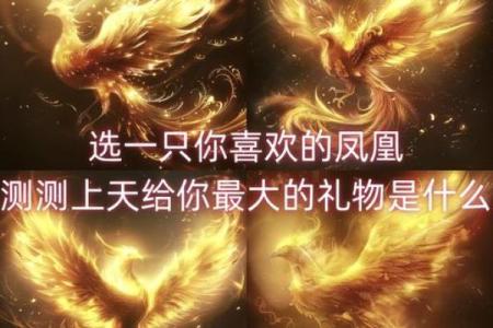 从命理角度看凤凰命的独特之处
