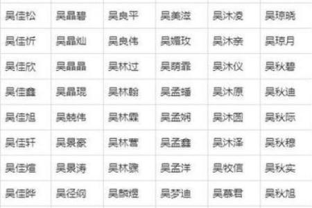 鸡年男宝宝起名技巧与注意事项