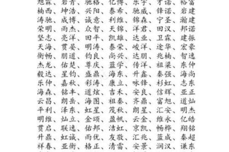 公司起名网如何高效打分助力品牌命名成功