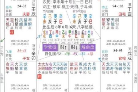 紫微命盘排盘指南：从入门到精通