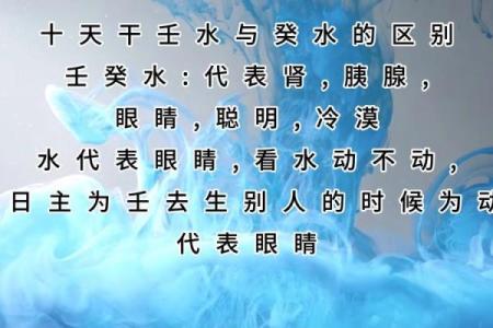 壬水透出天干的深层解析与命理影响