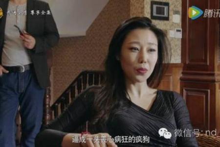 凤凰命与人生逆袭的关系探讨