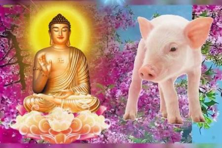 给属猪宝宝起名：助力未来幸福与成功的名字选择