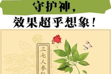 三七命与健康、财富的关系分析