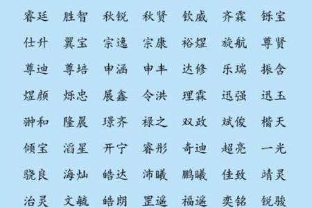 霍姓鸡年男宝宝名字大全