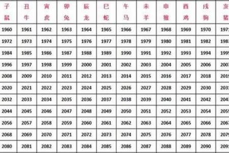 深入解析男命女命的命理特征与影响因素