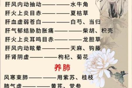 五行五脏理论：探索中医如何调和身体健康与自然元素
