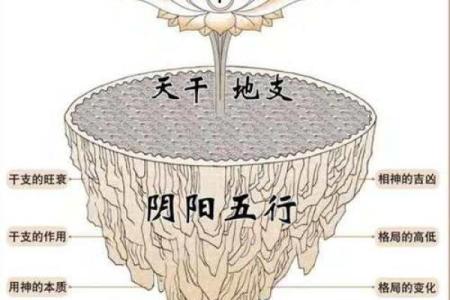 八字命理的深层含义与人生解析