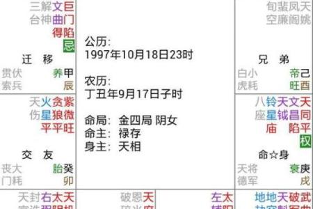 紫薇专业排盘解析：如何解读个人命运的深层含义
