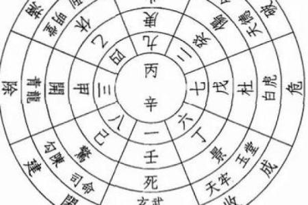 飞宫小奇门排盘软件评测：精准度与实用性如何