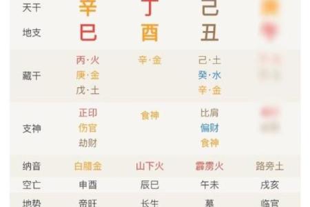 出生的人的命运解析与性格特点