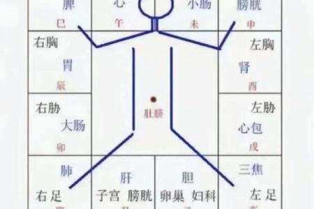 天干类象与命理解析：解密天干背后的深层含义