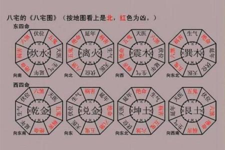 探讨震命：东四命对个人命运的影响