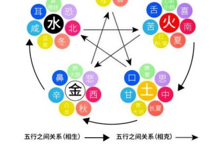贞字五行属性解析及其在命理中的意义