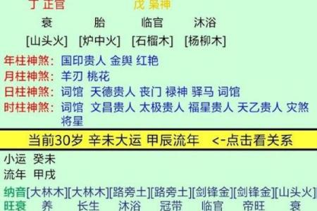 深入解析林申八字：成功与挑战的命理密码