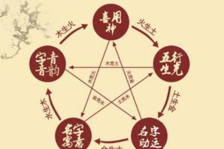 五行查询：如何通过免费工具了解你的命运