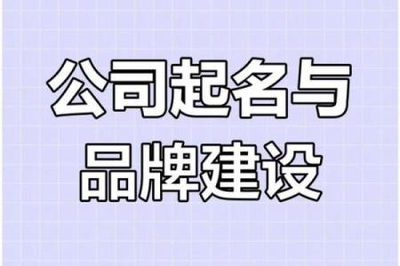 免费公司起名网站合集，助力创业之路