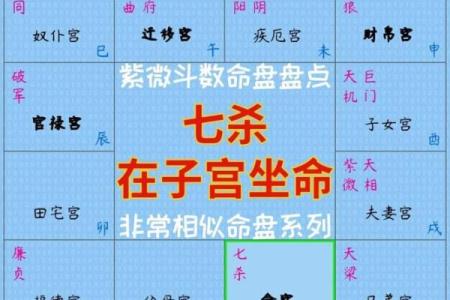 紫薇排盘深度解析：揭开命运密码的神秘面纱