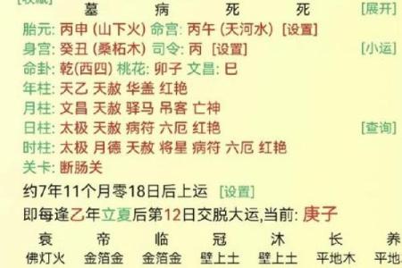 丁未五行属性解析与运势影响分析