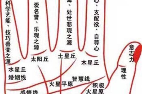 奇迹线在手相中的神奇意义与影响