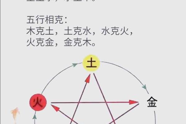 探秘五行命运与个性特点
