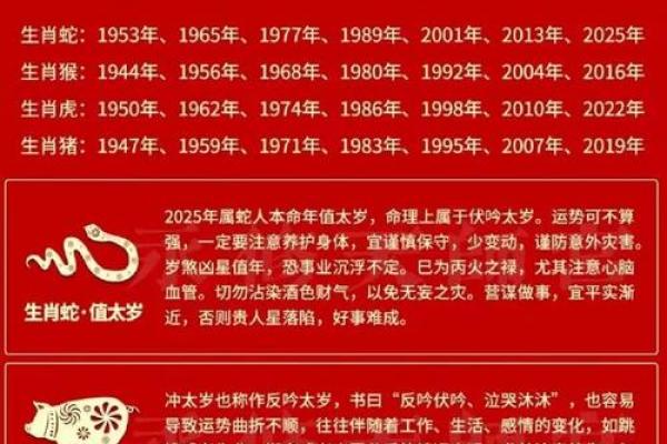 纯阳命的运势走向：优势与挑战并存的命格