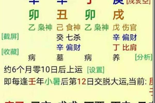 解读太太命：如何理解和定义这一命运特征