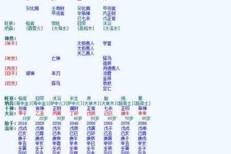 八字排盘中的胎元解析及其影响因素