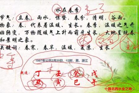 葵水命的命理分析与生活建议