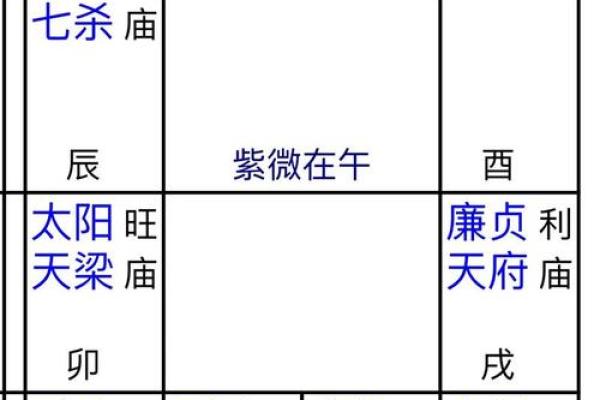 如何通过紫薇排盘洞察个人命运走势