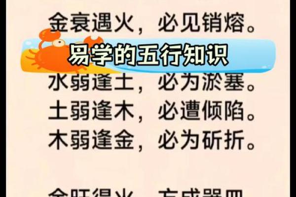 婵字的五行属性解析及其在命理中的应用