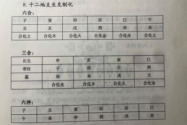 天干地支中的子代表意义与应用探析