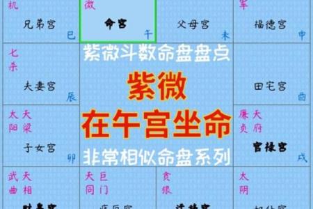 如何通过紫薇排盘洞察个人命运走势