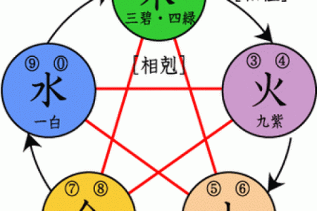 婵字的五行属性解析及其在命理中的应用