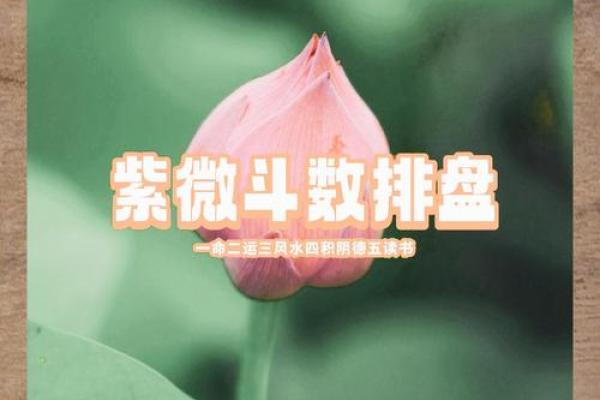 认识你的命盘：如何发现人生中的幸运因素