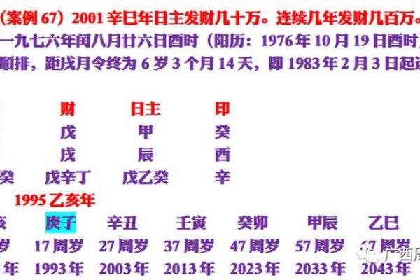 掌握八字查询技巧，洞察未来运势走向
