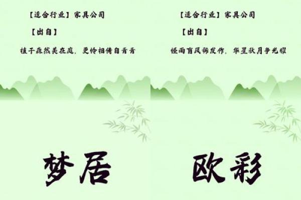公司起名库：为创业者提供独特且易记的名称灵感