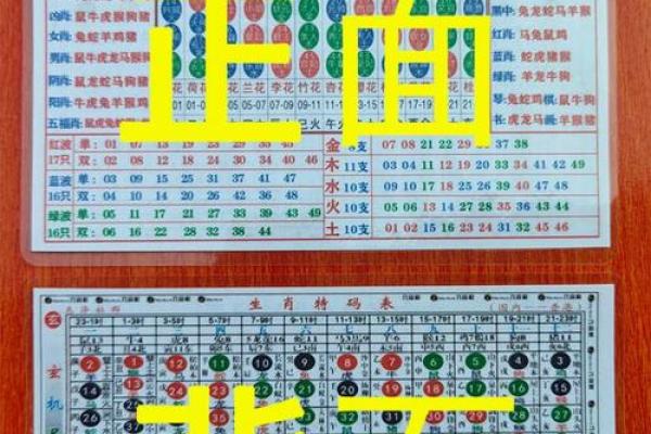 解析羊命：五行属性与运势走势