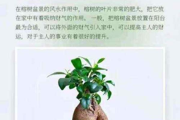 风水学中财位的秘密，助你财源滚滚来