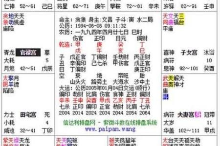 中华紫微斗数排盘揭秘：如何解读个人命运图谱