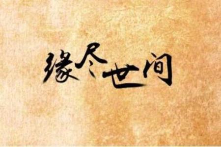 掌握八字查询技巧，洞察未来运势走向