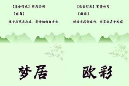 公司起名库：为创业者提供独特且易记的名称灵感